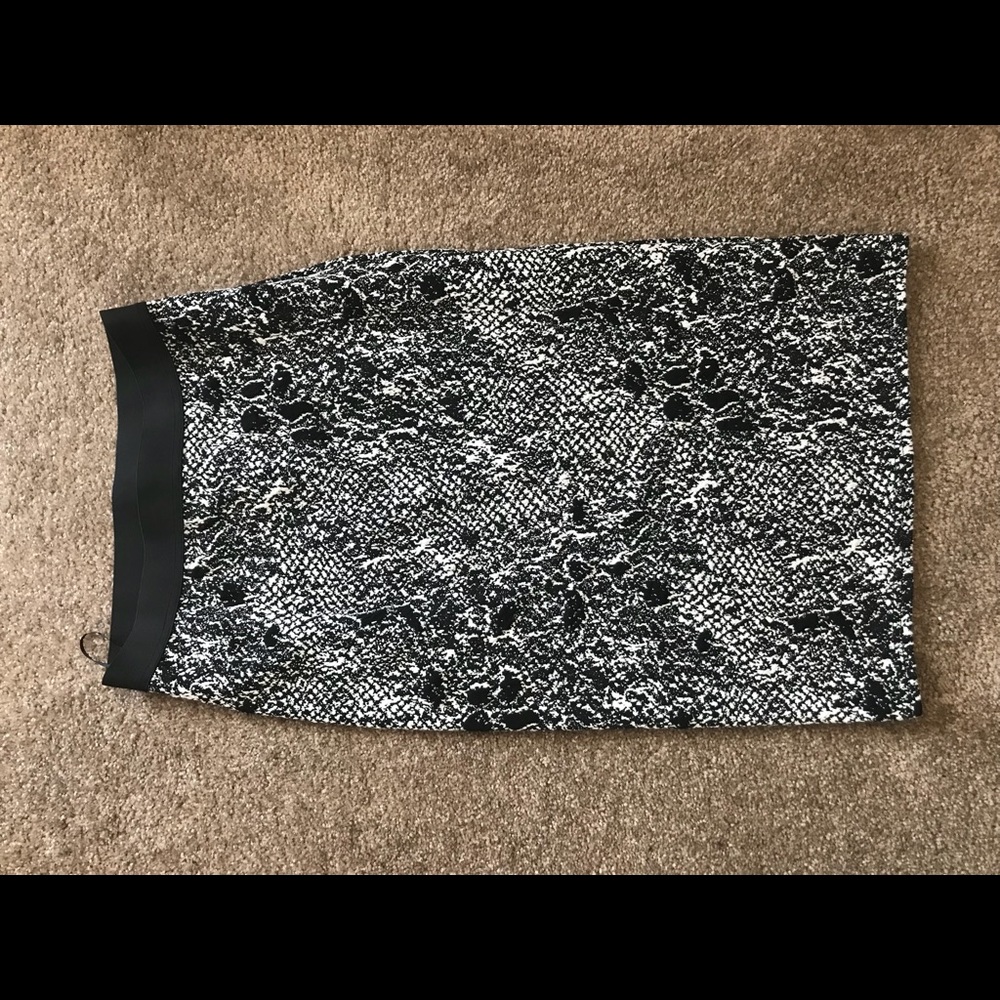 Pencil Skirt